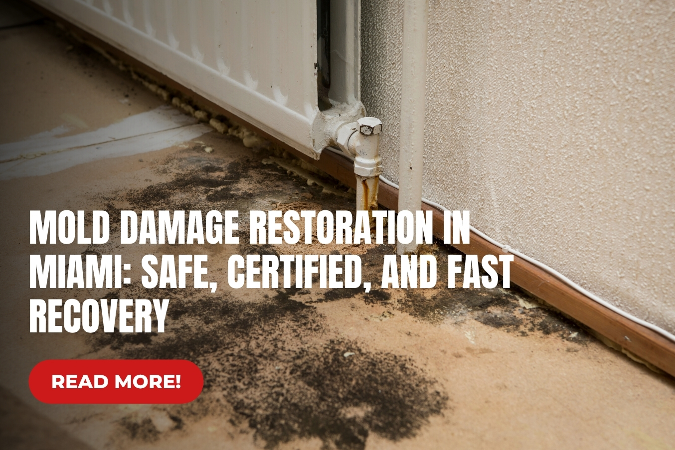 Mold Damage Restoration in Miami: Safe, Certified, and Fast Recovery
