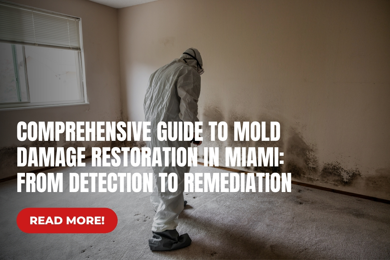 Mold Damage Restoration Miami Guide | Ace2Restore