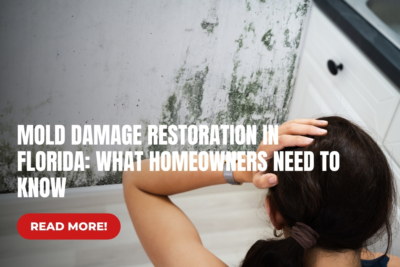 Mold Damage Restoration in Florida | ACE Restoration Services